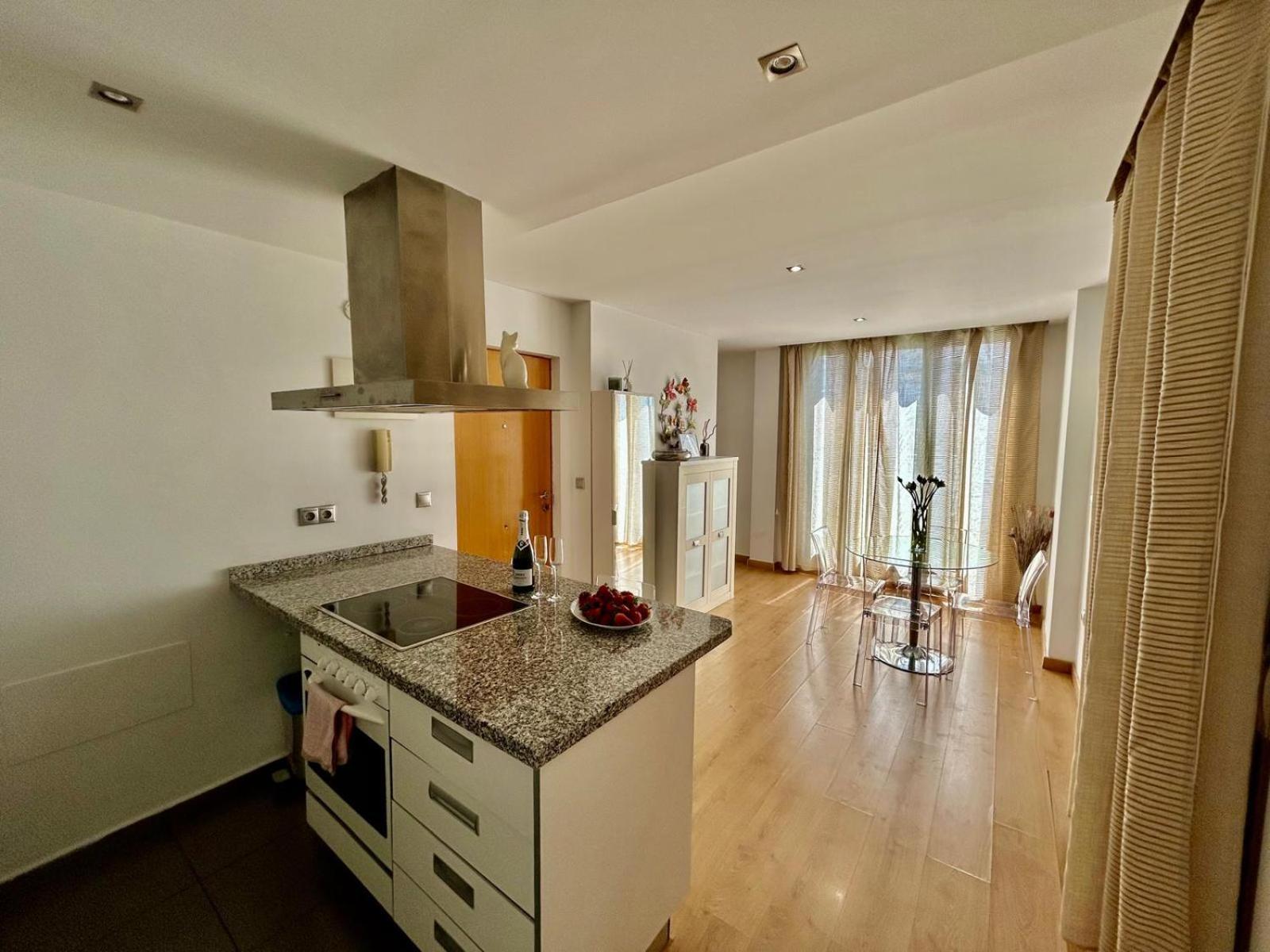 2 Big Terraces Penthouse City Center アリカンテ エクステリア 写真