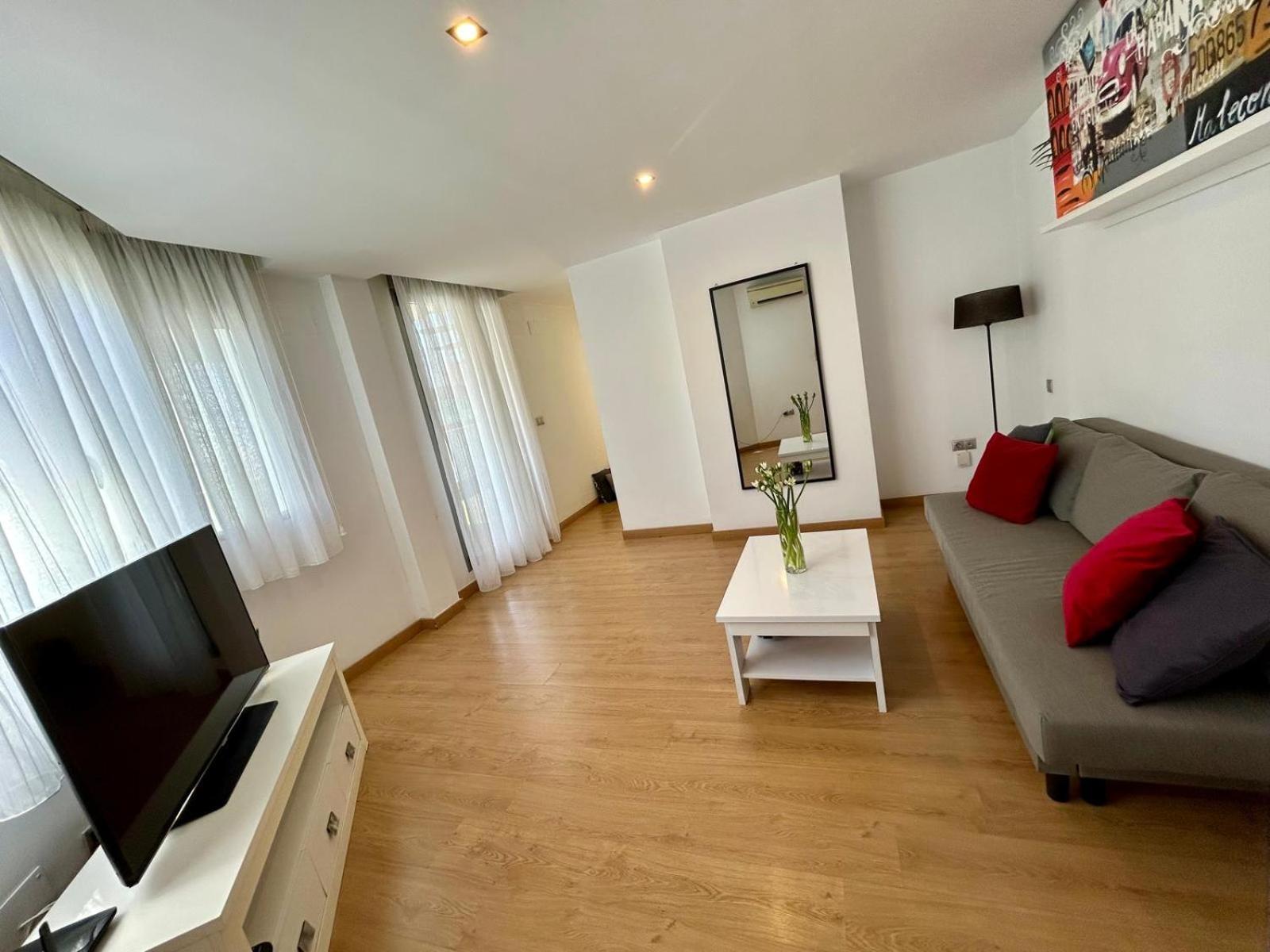 2 Big Terraces Penthouse City Center アリカンテ エクステリア 写真